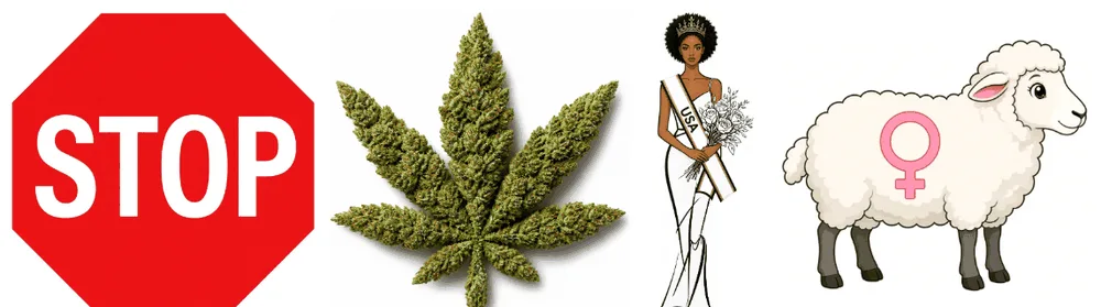 Pictogram shirt design: Stop weed miss you